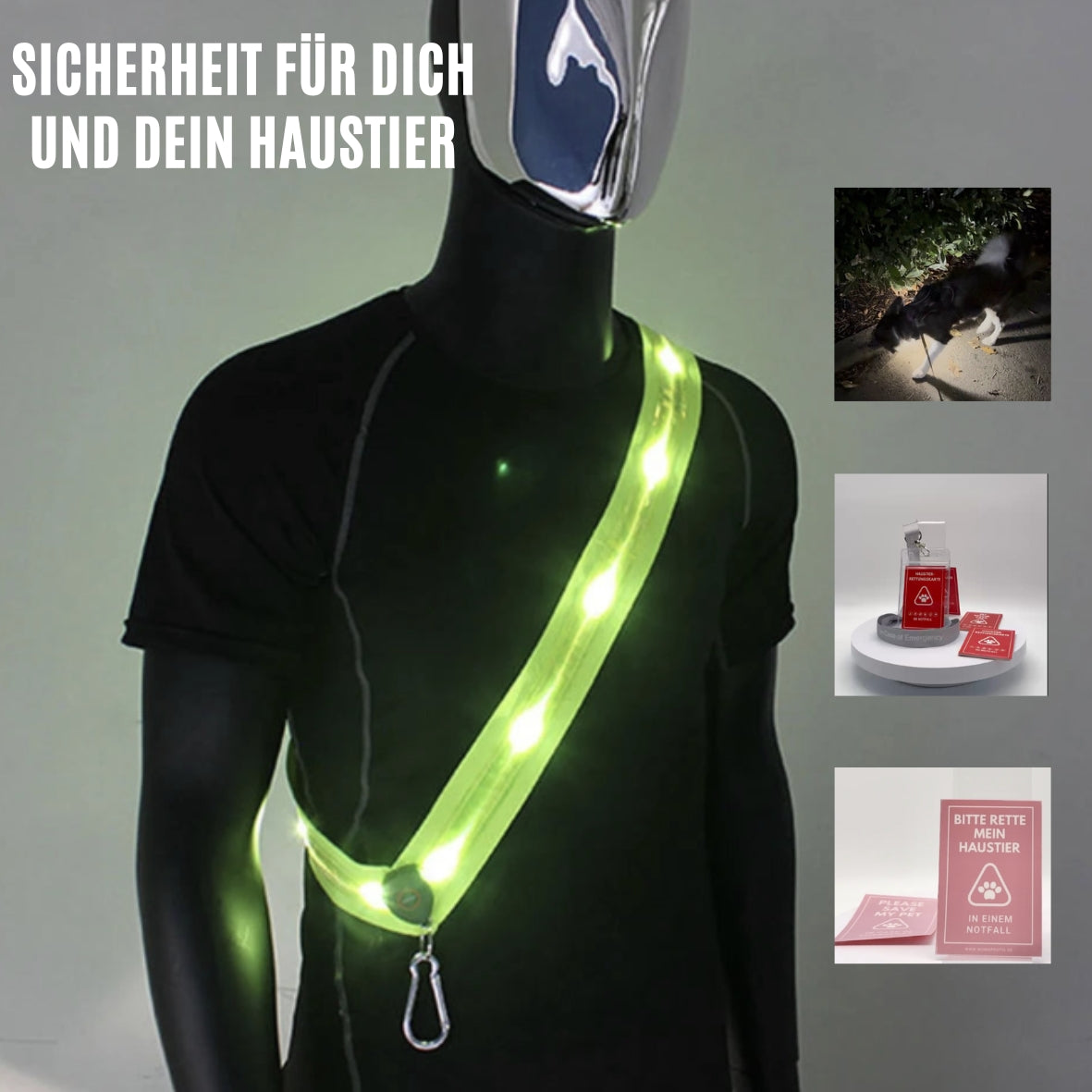 Sicherheit für dich und deinen Hund