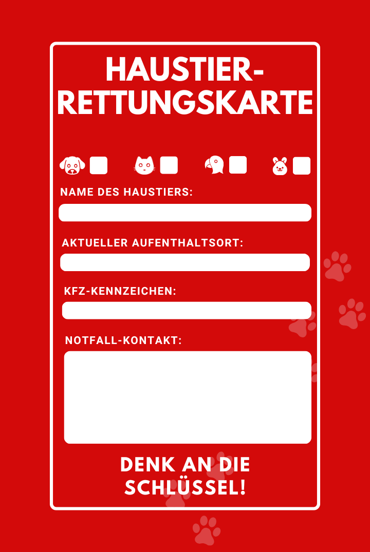 SOS-Rettungslanyard: Wer rettet dein Haustier im Wohnmobil, wenn dir selbst etwas passieren sollte?